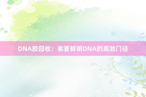 DNA胶回收：索要鲜明DNA的高效门径