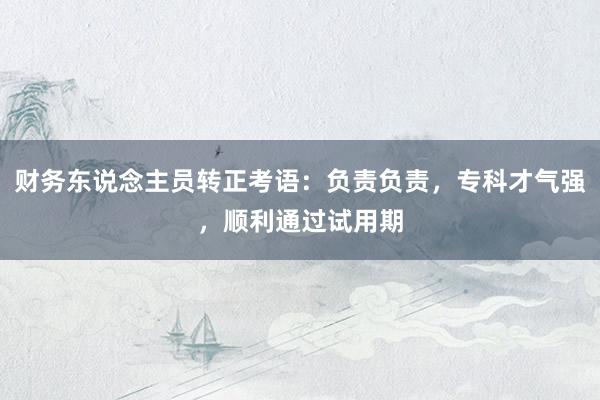 财务东说念主员转正考语：负责负责，专科才气强，顺利通过试用期
