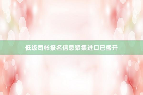低级司帐报名信息聚集进口已盛开